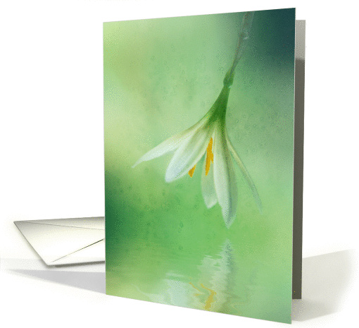Mothers Day Card Reflections of Beauty card (907249)
