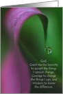 Serenity Prayer - Purple Calla Lily card