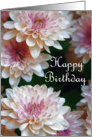 Happy Birthday - Pink & White Flowers card