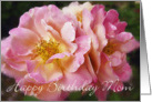 Mom Birthday - Pink Roses card