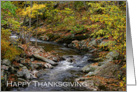 Thanksgiving - Stream With Fall Trees card