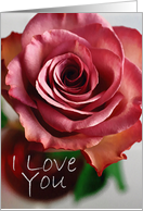 I Love You Birthday - Red Rose card