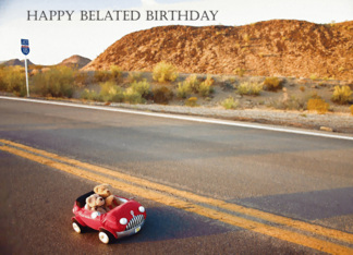 Belated Birthday -...