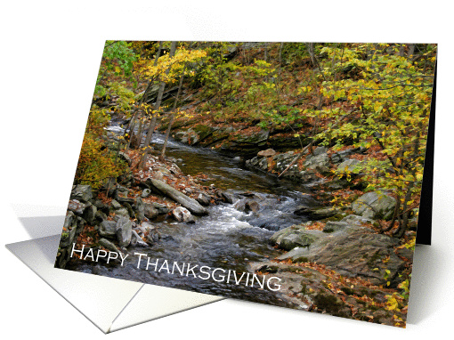 Thanksgiving - Stream With Fall Trees card (903591)