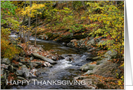 Thanksgiving - Stream With Fall Trees card