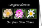 Congratulations On Your New Home Flowers Card