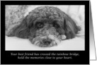 Sympathy Rainbow Bridge Labradoodle card