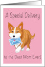 Mother’s Day Corgi Carrying Envelope card