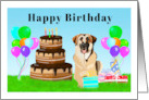 Happy Birthday Anatolian Shepherd Dog at Birthday Party card