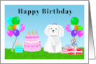 Happy Birthday Maltese at Birthday Party card