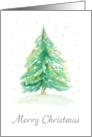 Merry Christmas with Christmas Pine Tree card