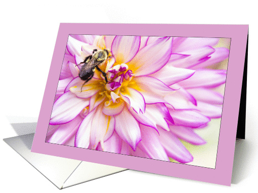 Blank Photography Card Of Dahlia And Bumble Bee card (1376068)