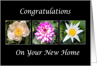 Congratulations On Your New Home Flowers Card