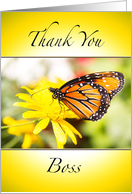 Thank You Boss Monarch Orange Butterfly card