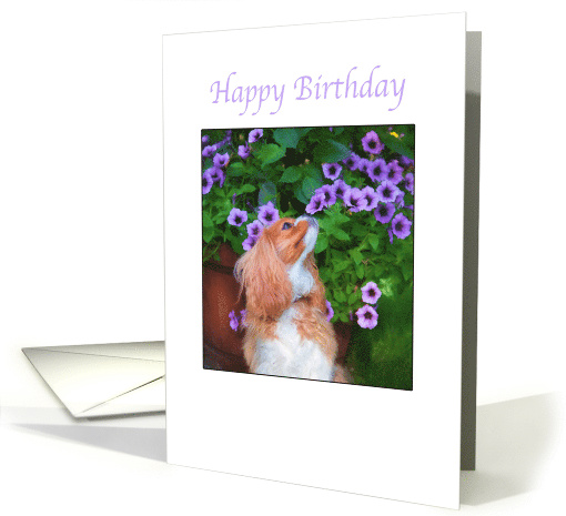 Happy Birthday Cavalier King Charles Spaniel With Flowers card