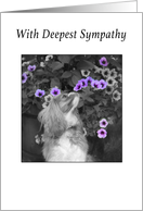 Deepest Sympathy Cavalier King Charles Spaniel With Flowers card