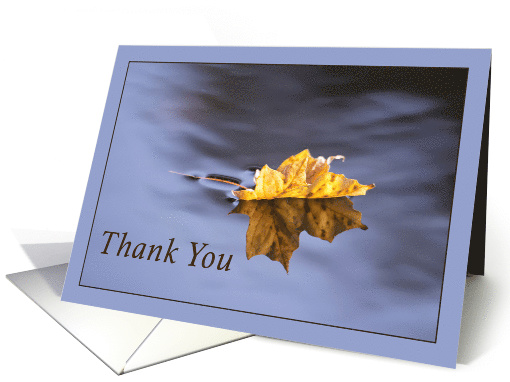 Thank You for Being There Yellow Leaf Floating In Pond card (1543856)