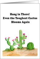 Hang in There Cactuses card