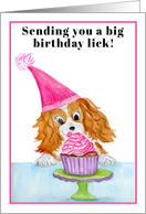 Cavalier King Charles Spaniel Birthday Cupcake card