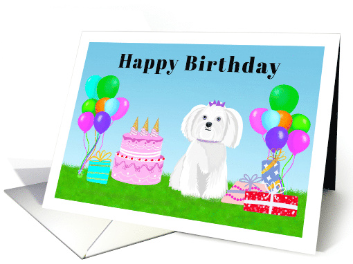 Happy Birthday Maltese at Birthday Party card (1917670)