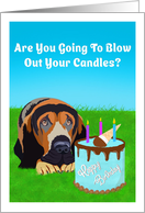 Happy Birthday Bloodhound Dog With Birthday Cake card