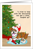 Merry Christmas Funny English Bulldog Tangled In Christmas Lights card