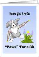 Get Well From Surgery Collie On Crutches card