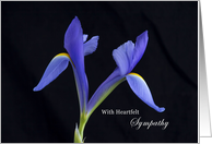 Heartfelt Sympathy Blue Iris card