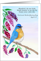 National Haiku Poetry Day April 17 Haiku Bluebird in Lilac Tree card