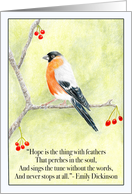 Hope with Bull Finch