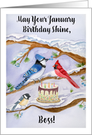 Boss January Birthday with Backyard Birds and Cake