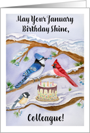 Colleague January Birthday with Backyard Birds and Cake