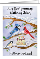 Mother in Law January Birthday with Backyard Birds and Cake card