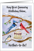 Mother to Be January Birthday with Backyard Birds and Cake