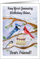 Friend January Birthday with Backyard Birds and Cake