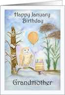 Grandmother Happy January Birthday Barred Owl with Cake card