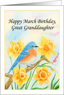 Great Granddaughter Happy March Birthday Blue Bird with Daffodils card