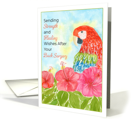 Back Surgery Recovery with Scarlet Macaws and Hibiscus card (1963802)