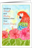Bunion Surgery Recovery with Scarlet Macaws and Hibiscus