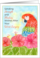 Wrist Surgery with Scarlet Macaws and Hibiscus