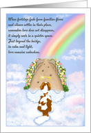 Blenheim Cavalier King Charles Spaniel Clouds Rainbow Bridge Sympathy
