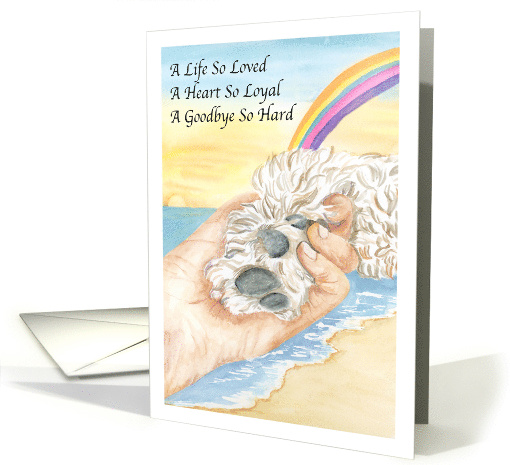 Sympathy Holding Dog Paw Rainbow Beach card (1993432)