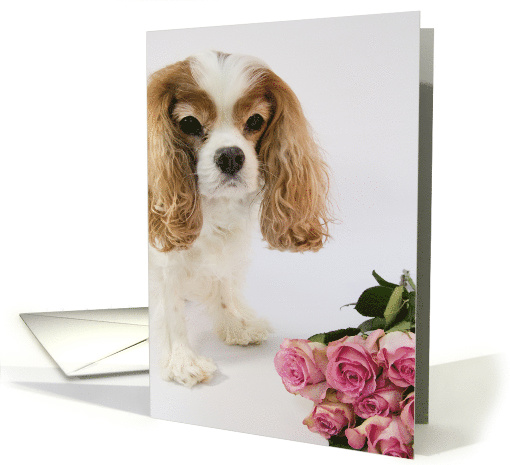 Sweet Love Cavalier King Charles Spaniel card (900277)