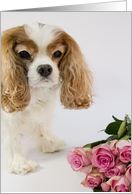 Sweet Love Cavalier King Charles Spaniel card