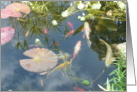 Peace and Tranquility, reflections of life’s blessings card