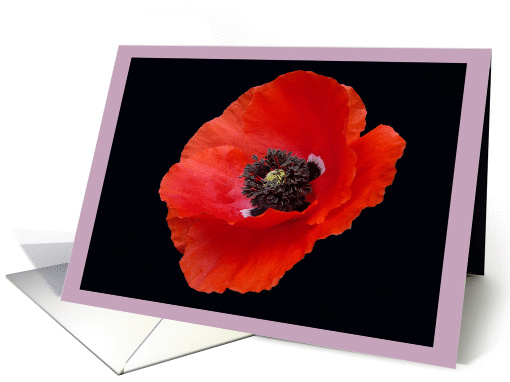 You are special. card (962045)