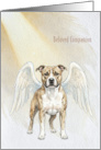 Beloved Companion American Staffordshire Pitbull Terrier Sympathy card