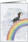 Entlebucher Mountain Dog Rainbow Bridge Pet Sympathy Card