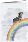 Rottweiler Rainbow Bridge Pet Sympathy Card