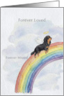 Black & Tan Cavalier King Charles Spaniel Rainbow Bridge Pet Sympathy card